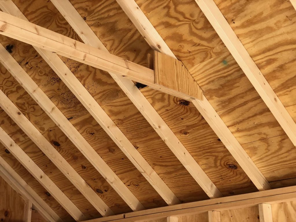 Building Anatomy