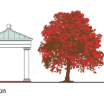 portfolio-architect-img-05